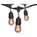 Hampton Bay 12-Light 24 ft. Black Commercial String Light